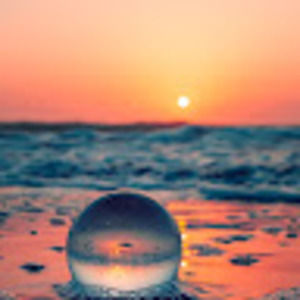 Meet your Posher, Tabitha